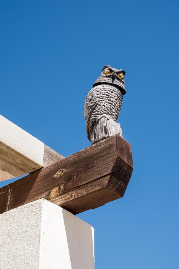 Historical City Center Penthouse Αλμπουφέιρα Εξωτερικό φωτογραφία